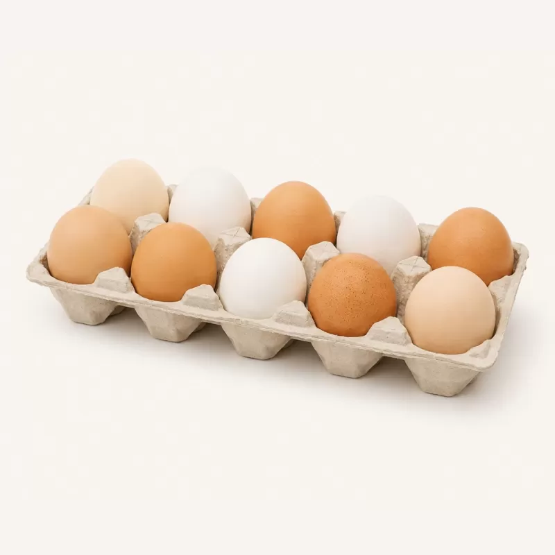 Huevos de Granja Frescura y Producción Responsable Huevos de Granja Frescura y Producción Responsable